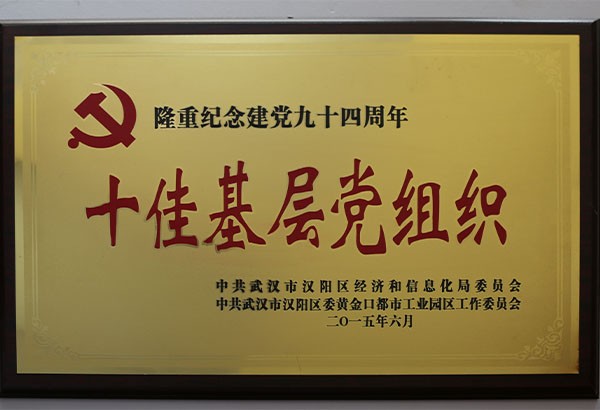 十佳基层党组织