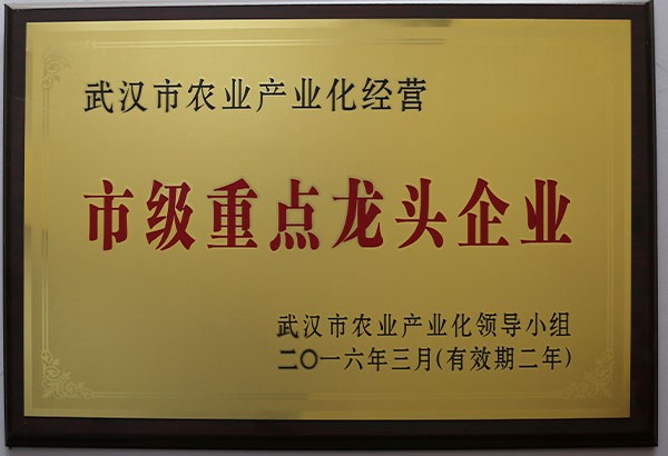 武汉市农业产业化经营市级重点龙头企业