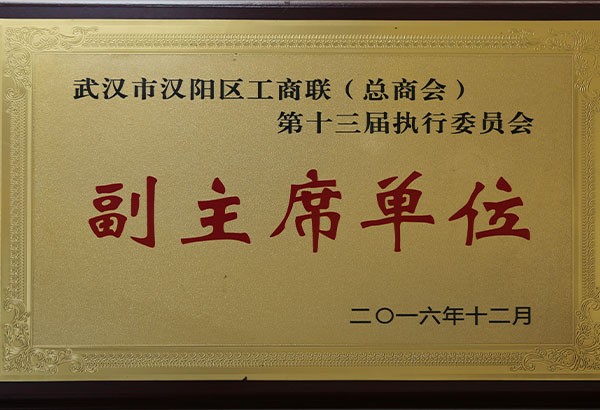 武汉市汉阳区工商联（总商会）第十三届执行委员会副主席单位